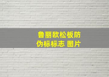 鲁丽欧松板防伪标标志 图片